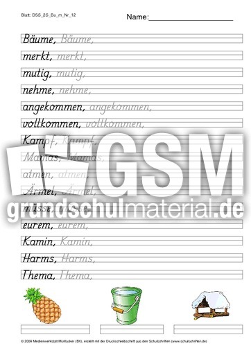 DSS_2S_Bu_m_Nr_12.pdf